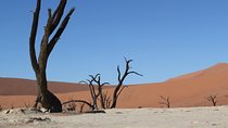 6 Day Sossusvlei to Swakopmund Self-Drive Tour (B&B & Camping)