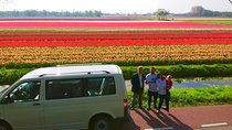 Keukenhof Private Floral Tour from Amsterdam