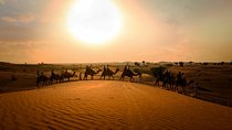 Dubai Sunset Camel Trekking With BBQ Dinner