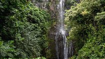 Private Hana Waterfalls Tour