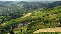 4-Days Wonderful Piedmont Tour from Milan