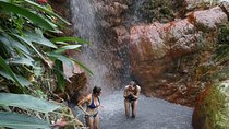 Rainforest Waterfall Adventure