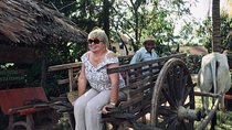 Private Ox Cart Ride and Local village Experience from Siem Reap