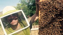 Experience Our Honey Farm And Beekeeping Tour