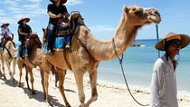 Camel Safari One Hour Watersport, Lunch Seafood At Jimbaran Beach