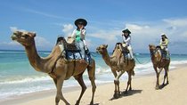 Camel Safari One Hour In White Sand Beach And Uluwatu Temple