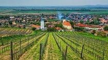 Tokaj Full Day Private Wine Tour from Budapest