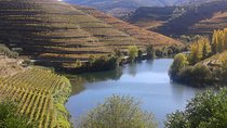 Douro Valley - Régua - with local wine and food tasting