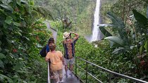 Big Island Waterfalls Tour with Swimming and Botanical Garden