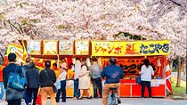 Osaka Spring Daytime (Cherry Blossom) Food Tour