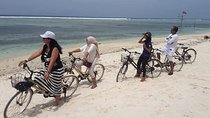 Gili Trawangan Island Day trip from Bali