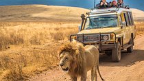 4 Days Tanzania Safari - Tarangire, Serengeti, Ngorongoro Crater 