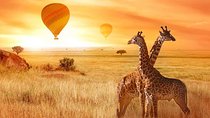 5 Days Tanzania Safari- Tarangire, Serengeti, Ngorongoro, Manyara