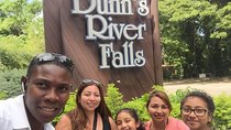 Dunn's River Falls and Jamaica Sightseeing Private Tour