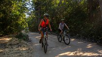 Cenotes trail jungle bike tour in Tulum with lunch