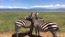1 Daytrip Amazing to Ngorongoro Crater from Arusha or Moshi