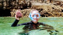 Arrábida Snorkeling Adventure with Transfer from Lisbon