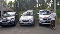 Bali Private Car Charter With English Speaking Driver To Ubud Area