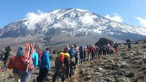 7 Days Mount Kilimanjaro Climb Lemosho Route