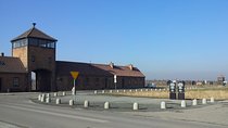 Private Tour to Auschwitz Birkenau & Salt Mine in One Day 