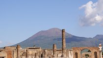 Pompeii, Mt. Vesuvius, Herculaneum Private Tour