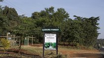 Urban Forest Tour in Nairobi