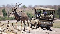 6-day Hwange, Chobe & Victoria Falls Combo