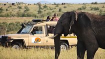 9-Days Best of Kenya & Tanzania Safari on 4x4 Land Cruiser Jeep