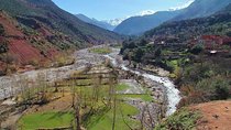  Day trip to Ourika valley and Berber villages 
