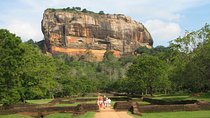 Sigiriya Rock and Dambulla Cave Temples from Negombo (All inclusive day tour)