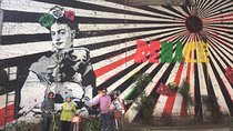Graffiti & Urban Art Biketour w/ taco stop
