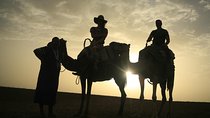 Camel ride and magical dinner in Agafay desert