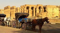 Aswan City Tour by Horse Carriage
