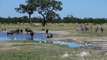 3 Day Chobe National Park Camping Tour