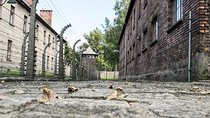 Combined: Auschwitz Birkenau and Salt Mine private chauffeur from Krakow