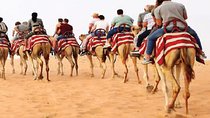 Morning Camel Trekking Safari Dubai ( with refreshment )