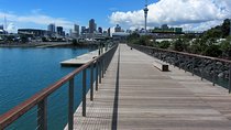 Auckland Tour City Highlights Half Day