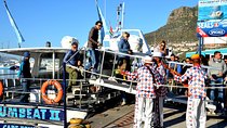 Cape of Good Hope & Penguin small group tour from Cape Town