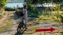Naples Scenic E-Bike Ride to a Local Vineyard with Meal