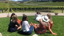 Yarra Valley Winery Tour from Melbourne - Lunch included