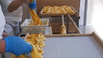 Pasta Factory Tour and Pisa