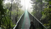 Cloud Forest hanging bridges with a local naturalist tour guide