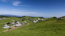 Private Kamnik & Velika Planina Tour from Slovenian coast