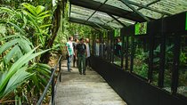 6 in 1 Rainforest Adventure Braulio Carrillo - Full Day Pass