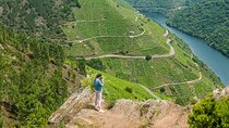 Ribeira Sacra, "Heroic Wines" Private Tour from Santiago/Vigo