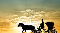 Aswan City Private Tour By Horse Carriage