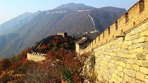 Beijing Private Tour to Mutianyu Great Wall and Lama Temple with Dim Sum Lunch