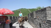 Mutianyu Great Wall and Summer Palace Private Day Trip with Lunch
