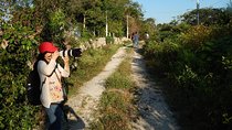 Birdwatching Yucatan 3 days trip focus on endemic birds