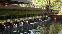 Half Day Ubud Tour - Private Guided Tour